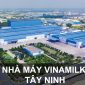 Dự Án Nhà Máy Sữa Vinamilk – Tây Ninh & Vinamilk – Di Linh